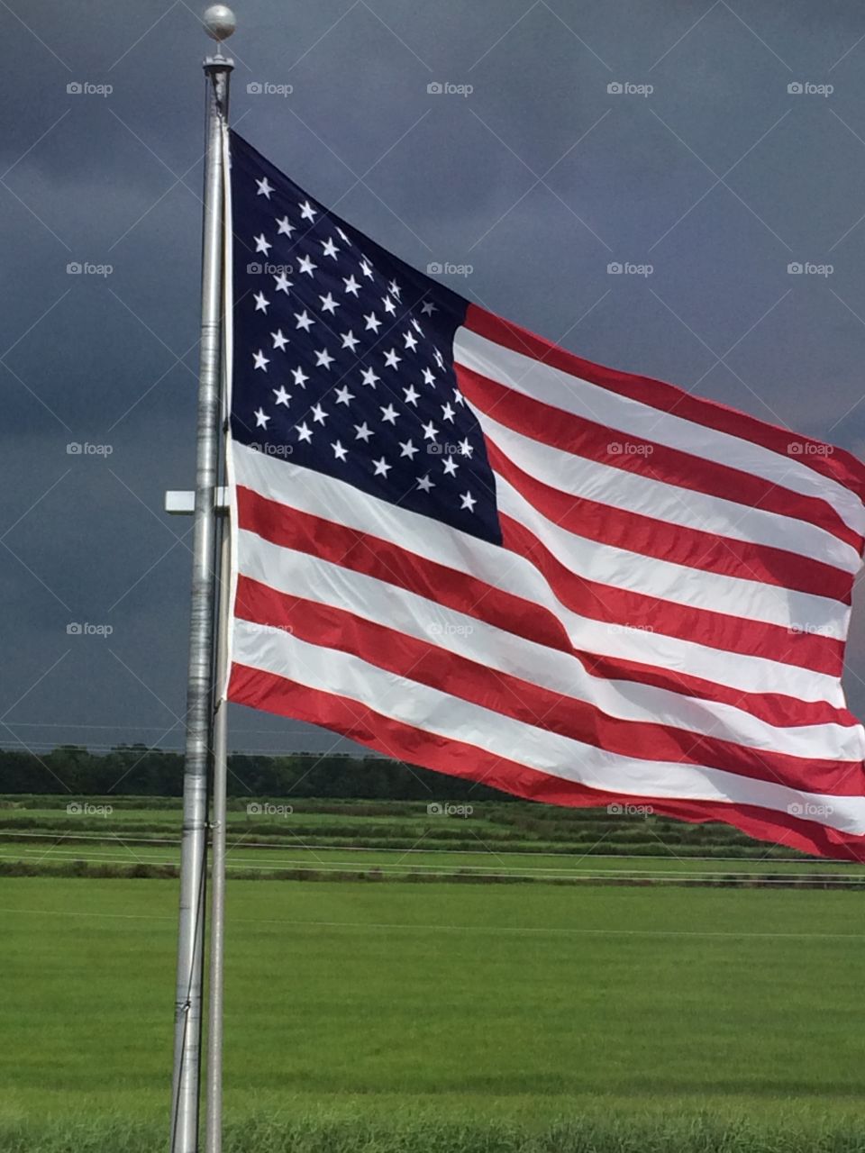 Old Glory waving in the wind overlooking a rice field 