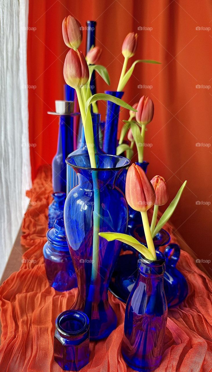 Cobalt Blue Vases and Tulips