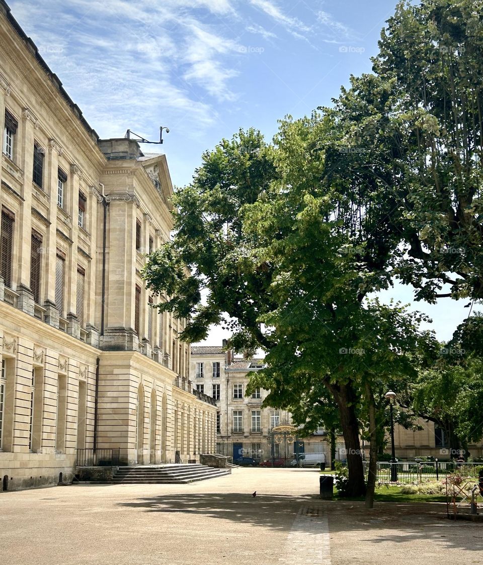 Bordeaux , mairie jardin Juin 2023 . 