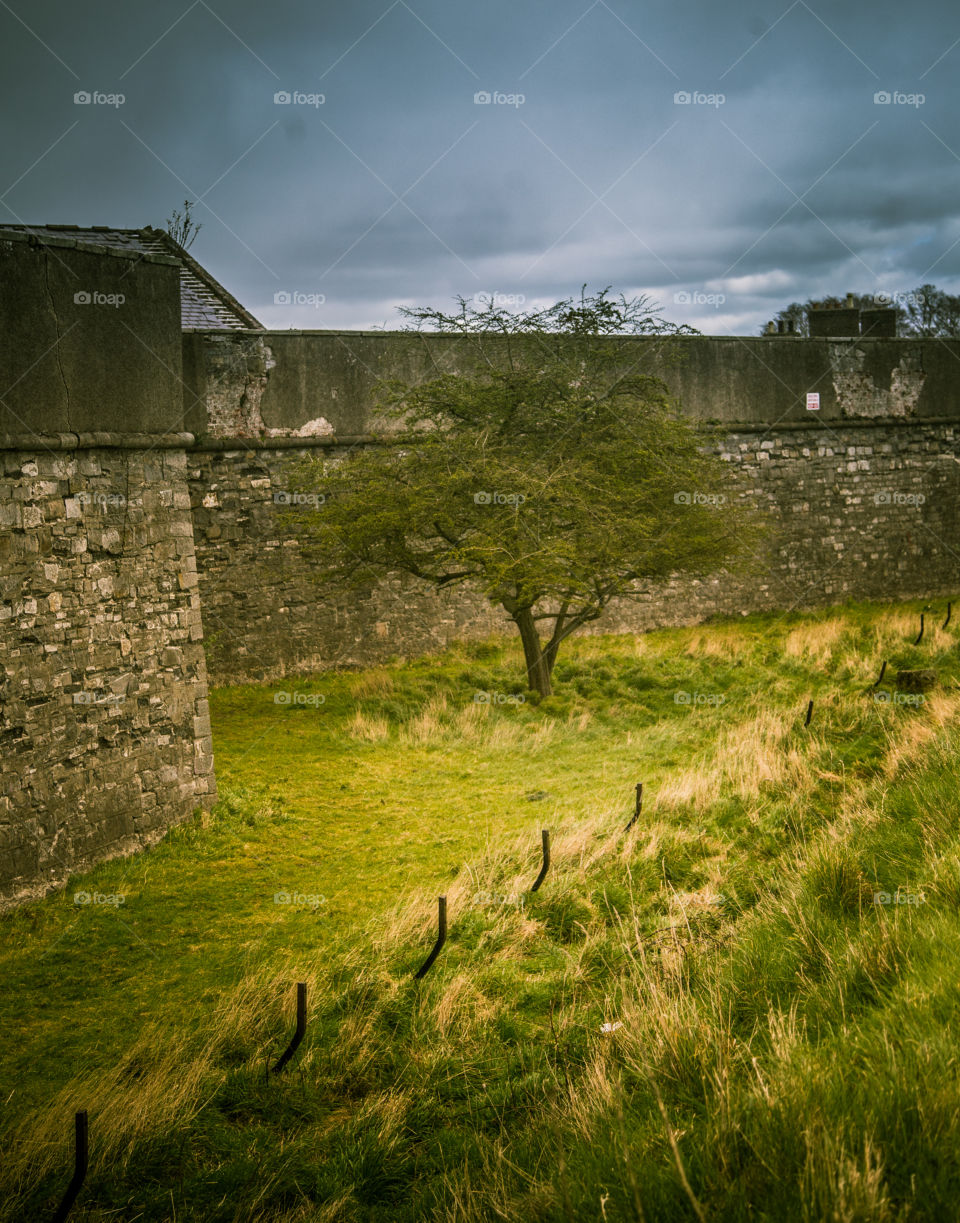 Landscape, Grass, Architecture, No Person, Castle