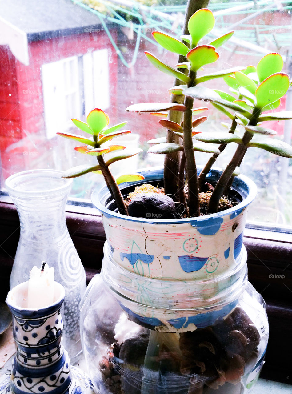 A flowerpot, a vase, a candle