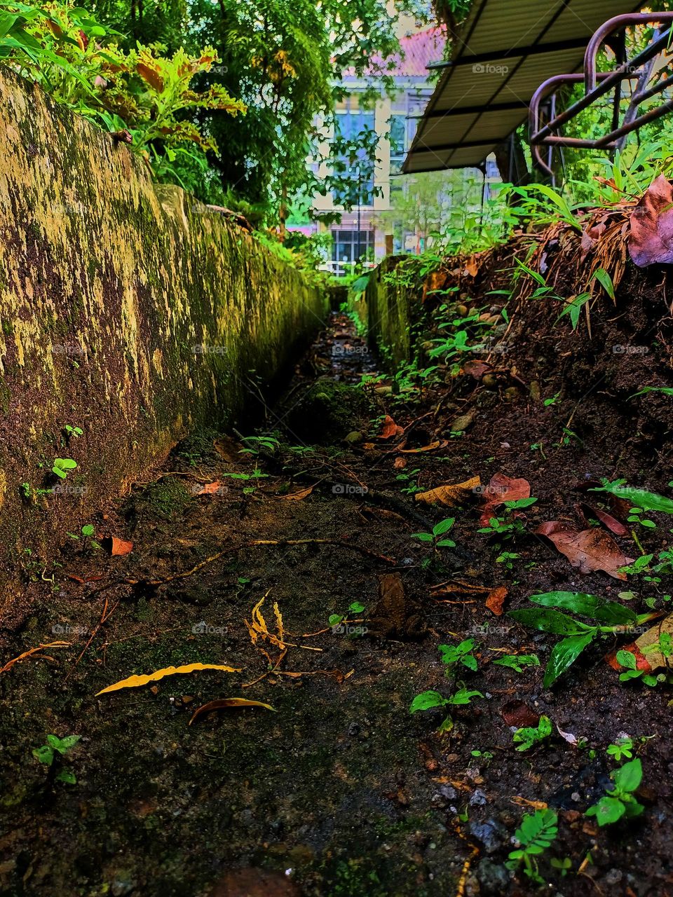 The narrow water stream which has dried up