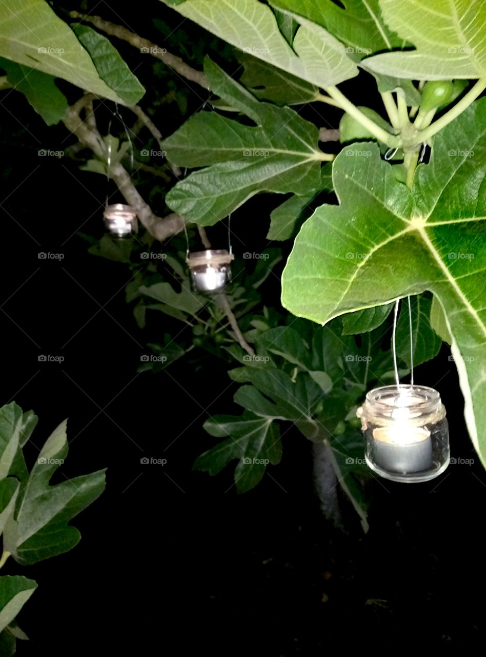 Candles among the leafs