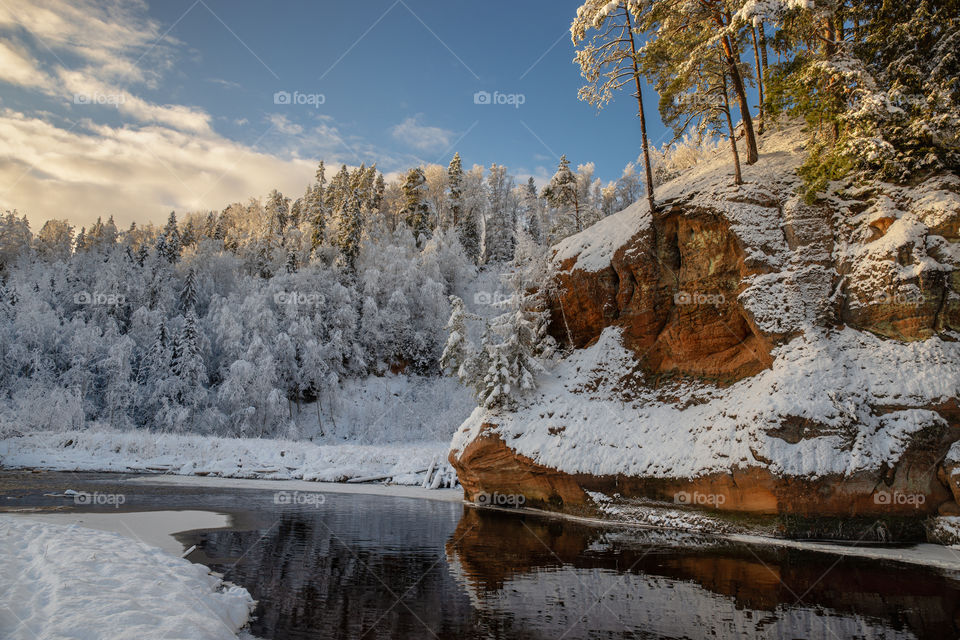 Winter landscape.