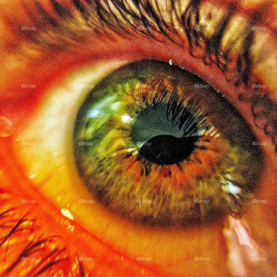 Captured with iPhone 6s Plus 