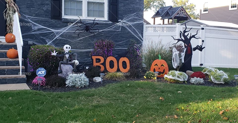 Halloween Decorations