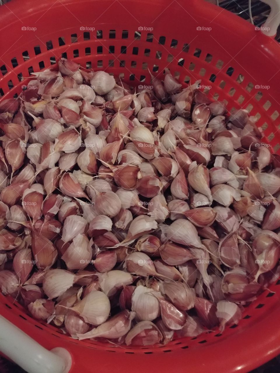Garlic "Seed"