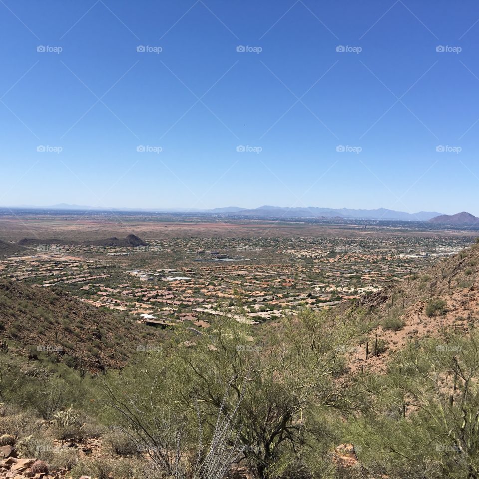 Distant view of a village