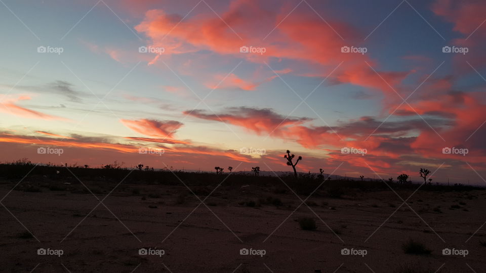 Pink desert sunset with clouds