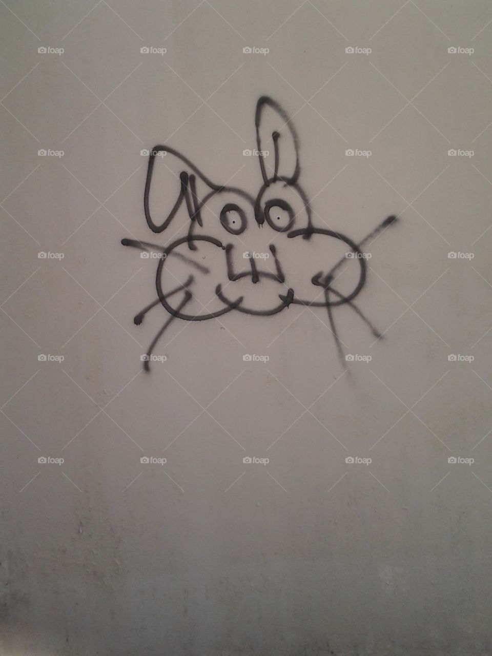 Hare Face Graffiti