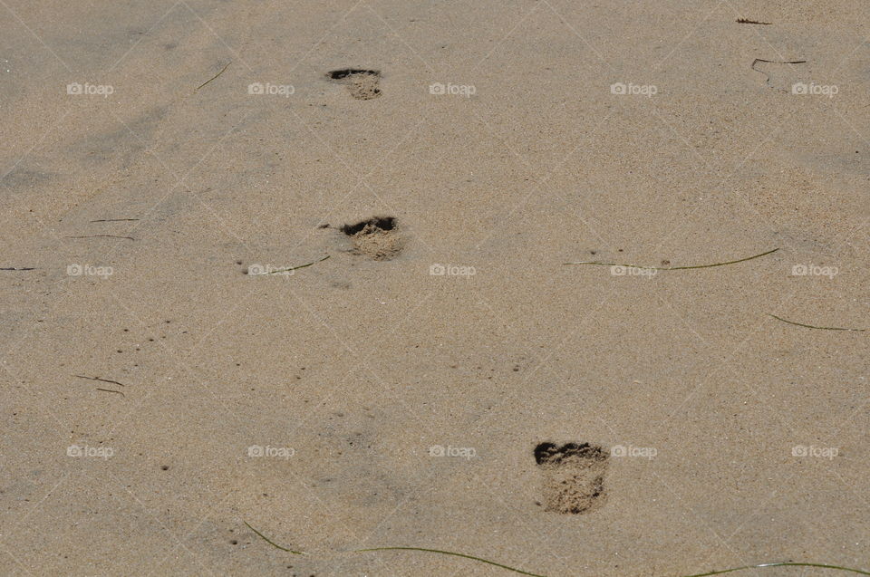 Child's foot prints on sand