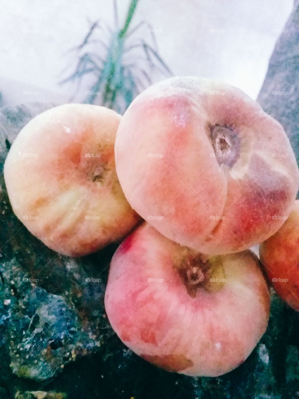 fig peach