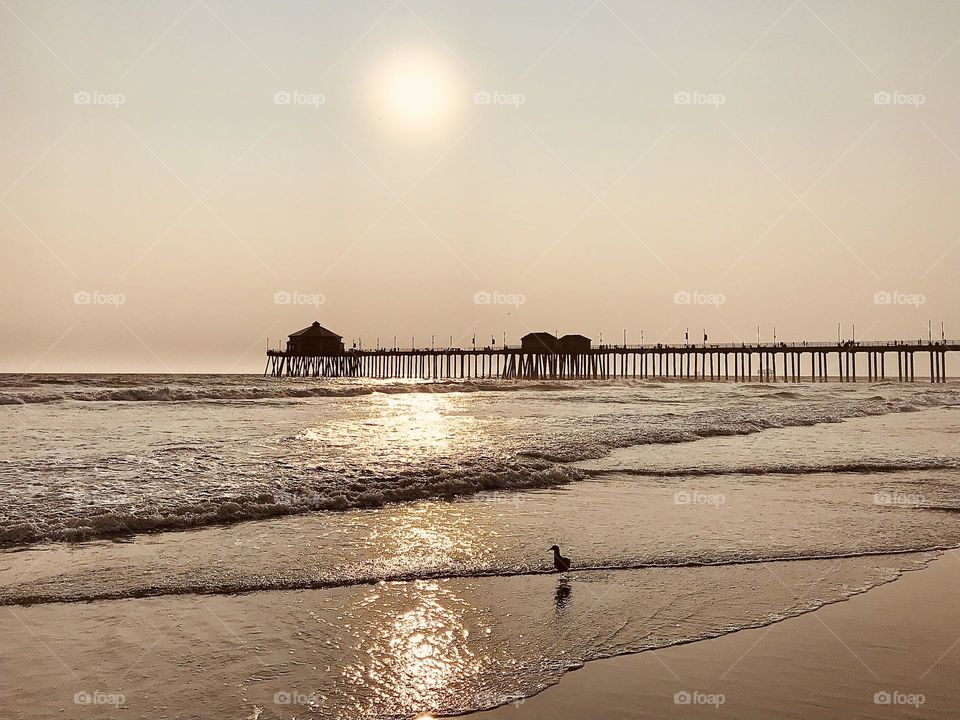 Beach Vacation Scene