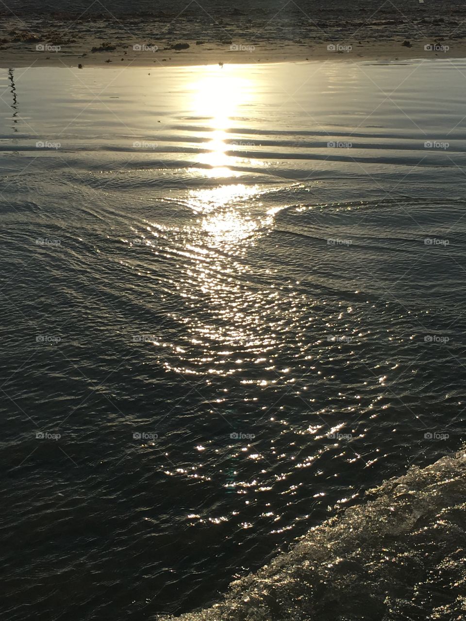 By the seashore