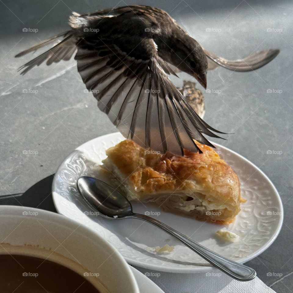 a sparrow with spread wings flies over a pie on the table