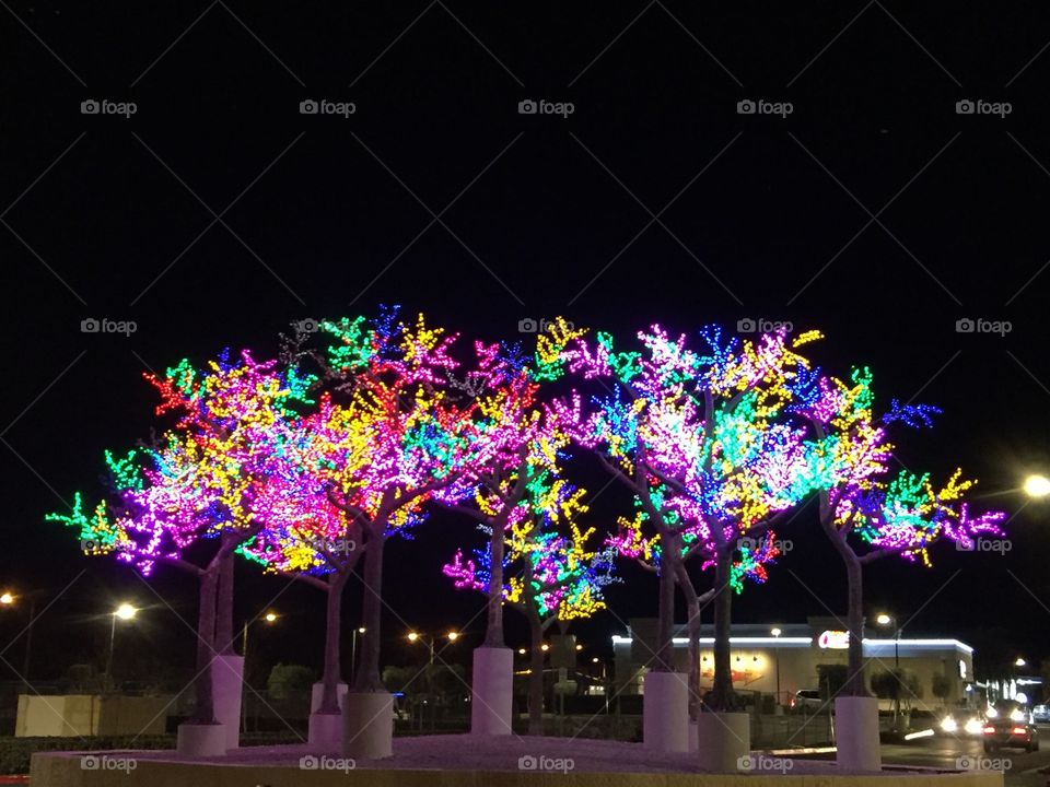 Colorful
Tree
Light
Night
