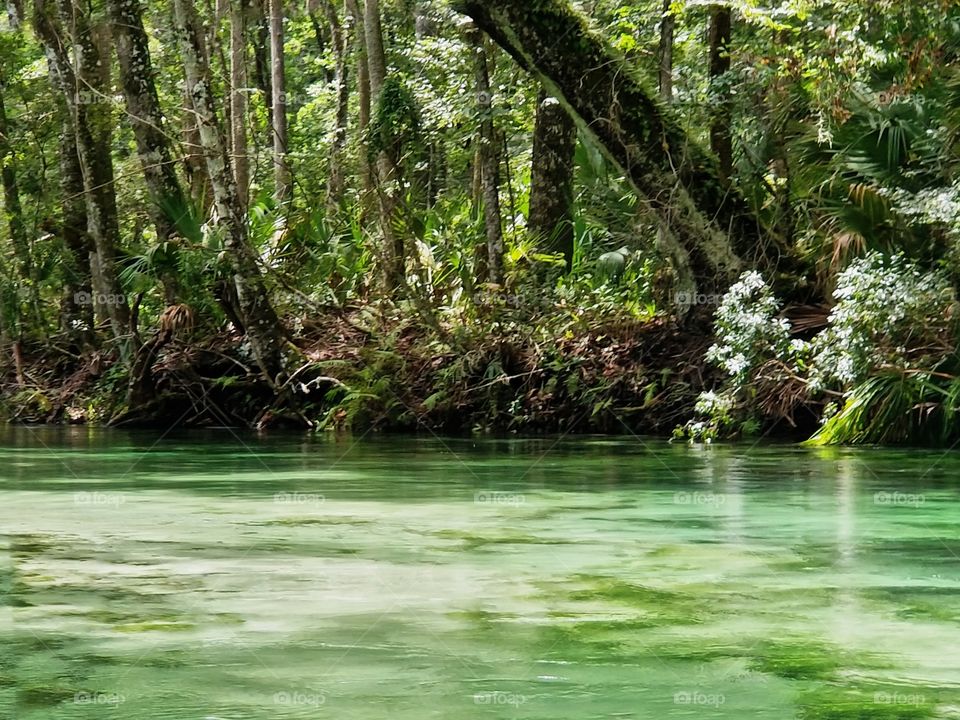 beautiful river scenic views