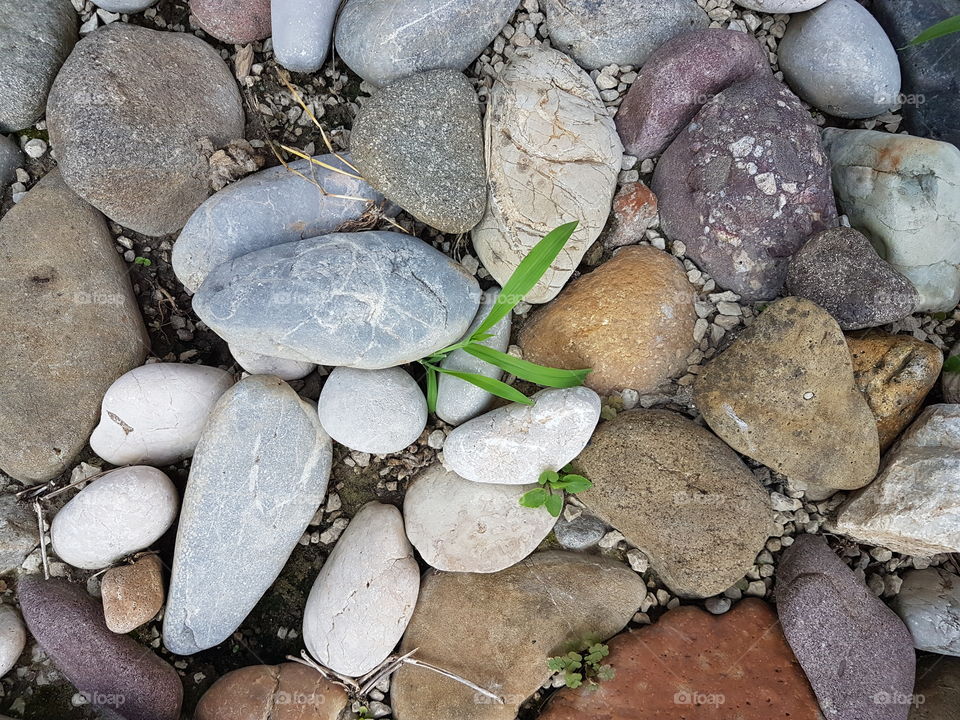 Stones and leaf