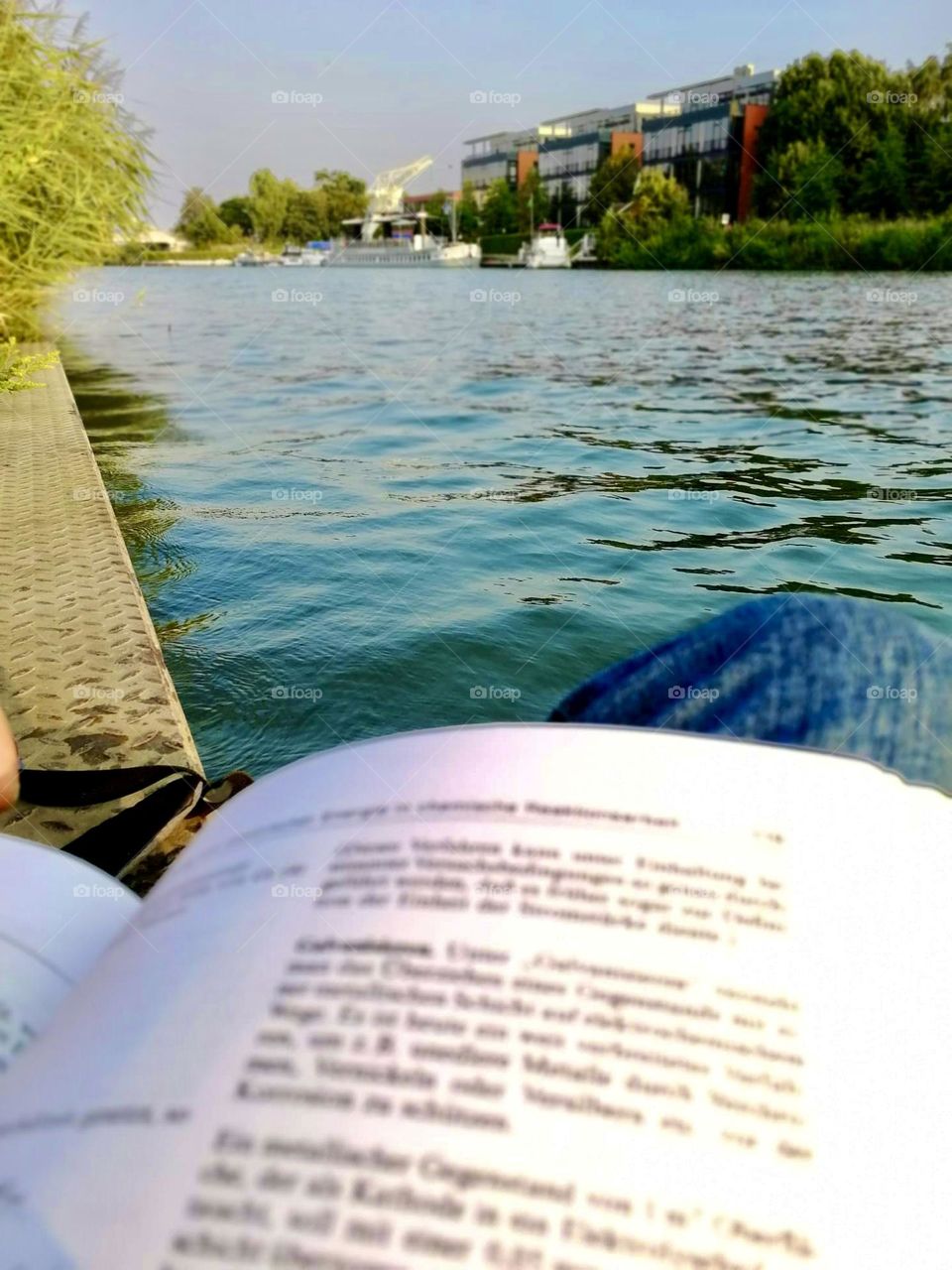 Reading and nature