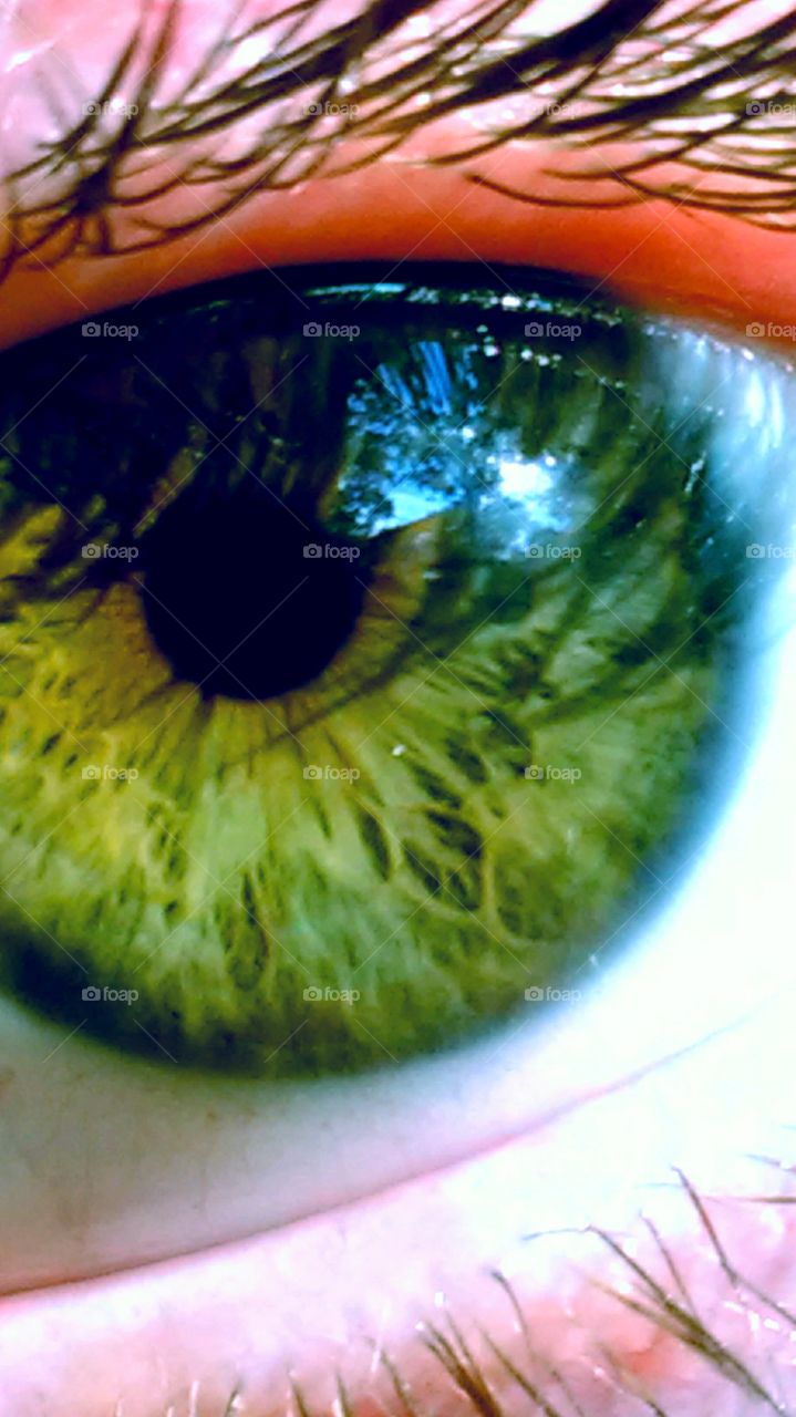 I was fooling around with my camera and captured this shot of my eye.