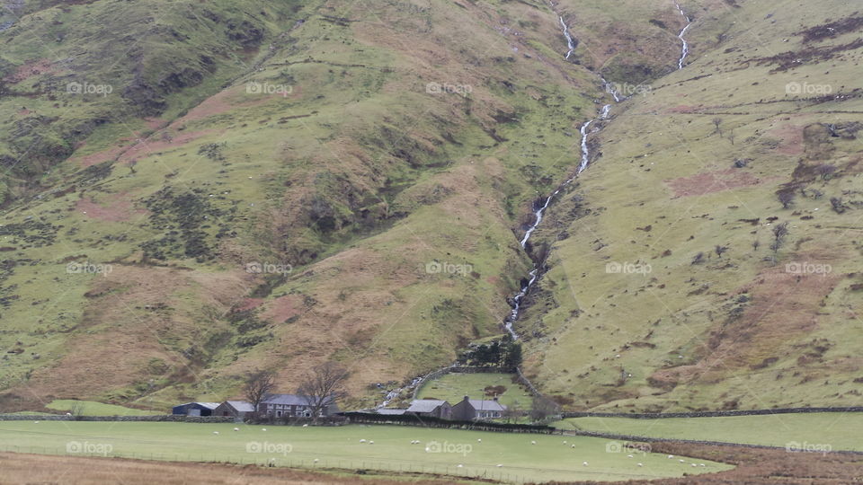 houses and very long mountain  stream