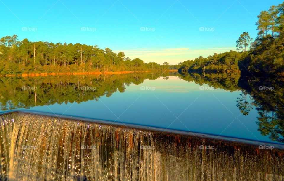 Scenic view of nature