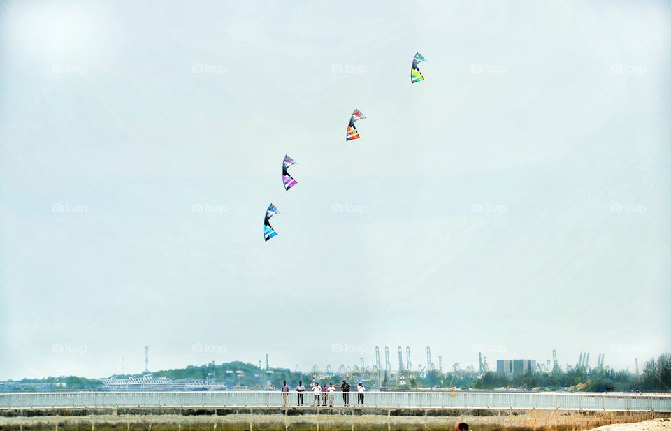 Kites in Singapore