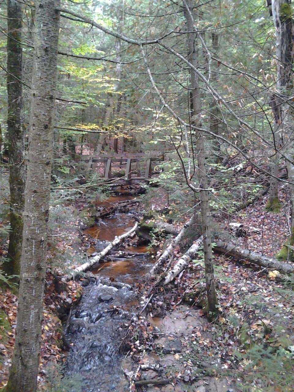 bridge. on a hike in the u.p. of michigan