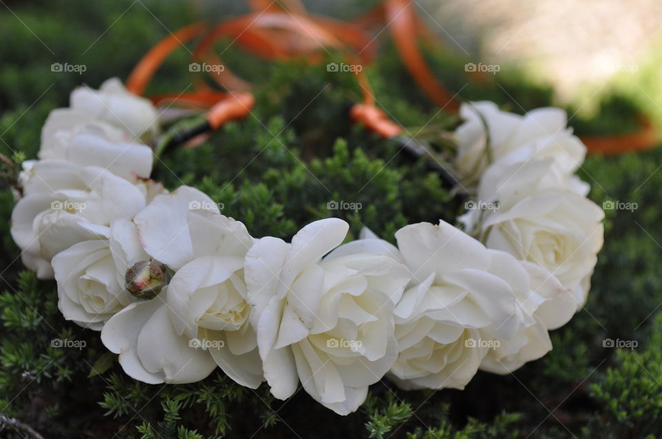 Beautiful white roses crown