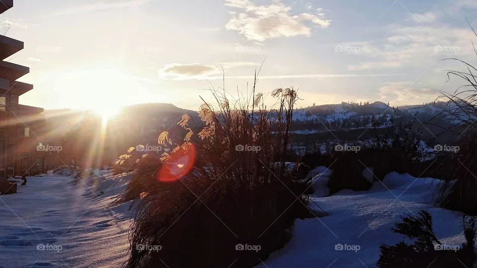 snow