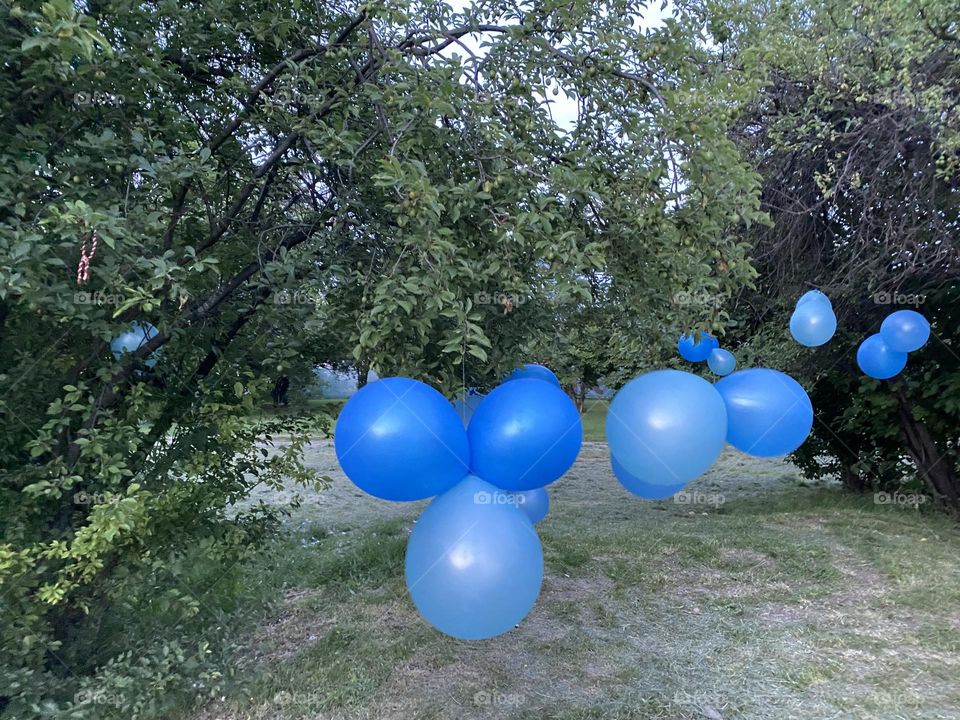Blue balloons in the park 