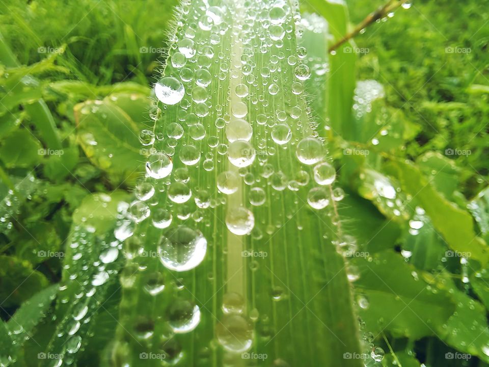 Soak up the best around you... seize every opportunity!