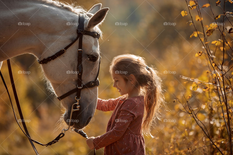 Little girl with grey horse in an autumn park 