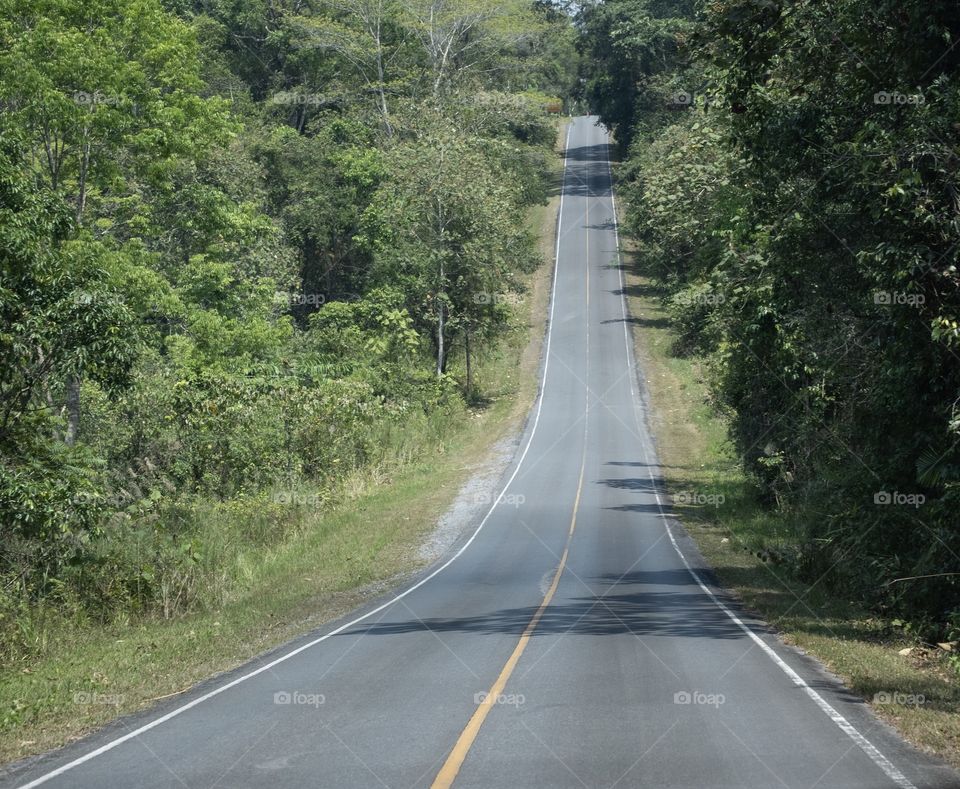 Jounery on the long road