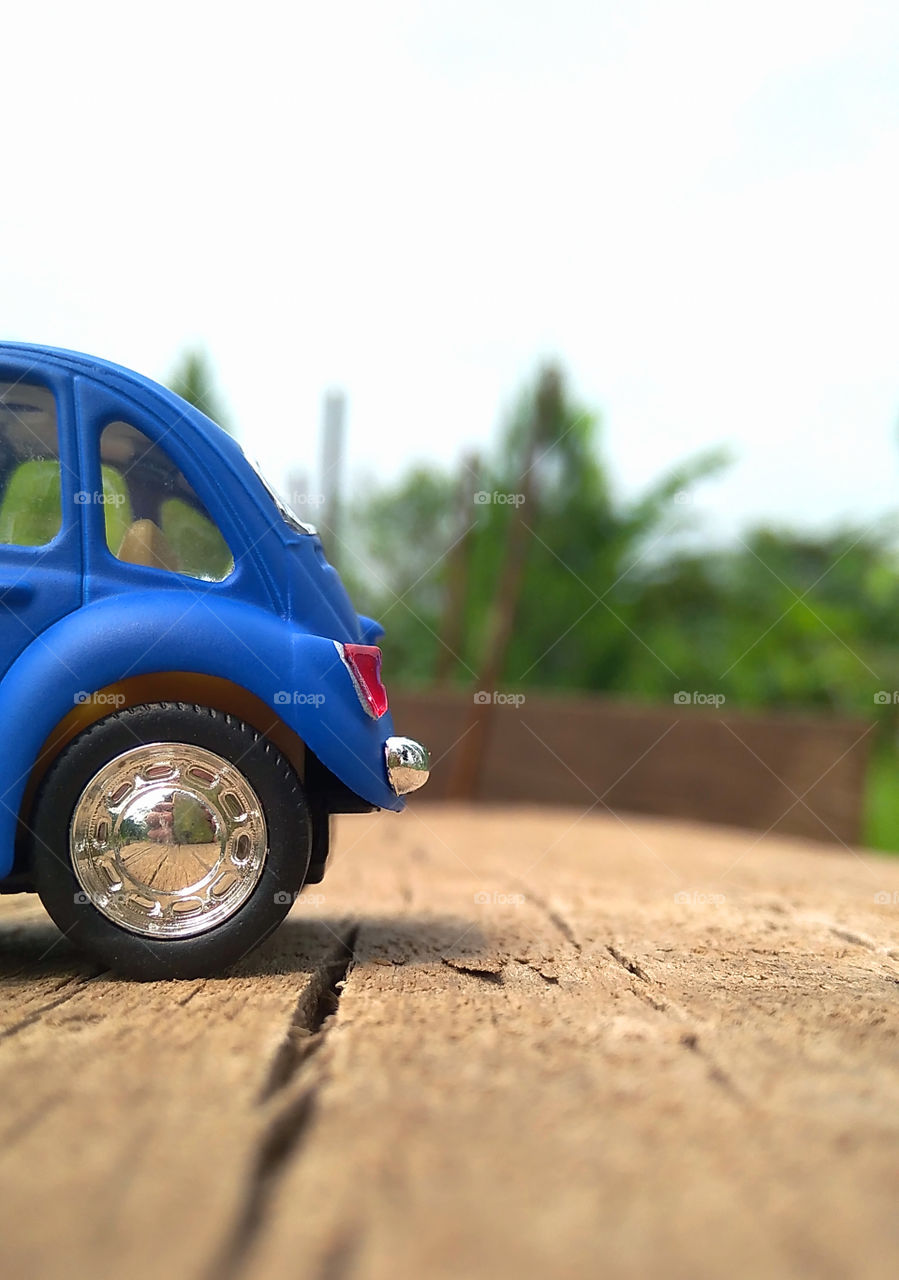 the back of the beetle car