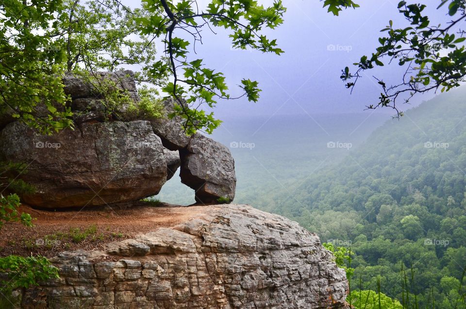 Beautiful view of nature