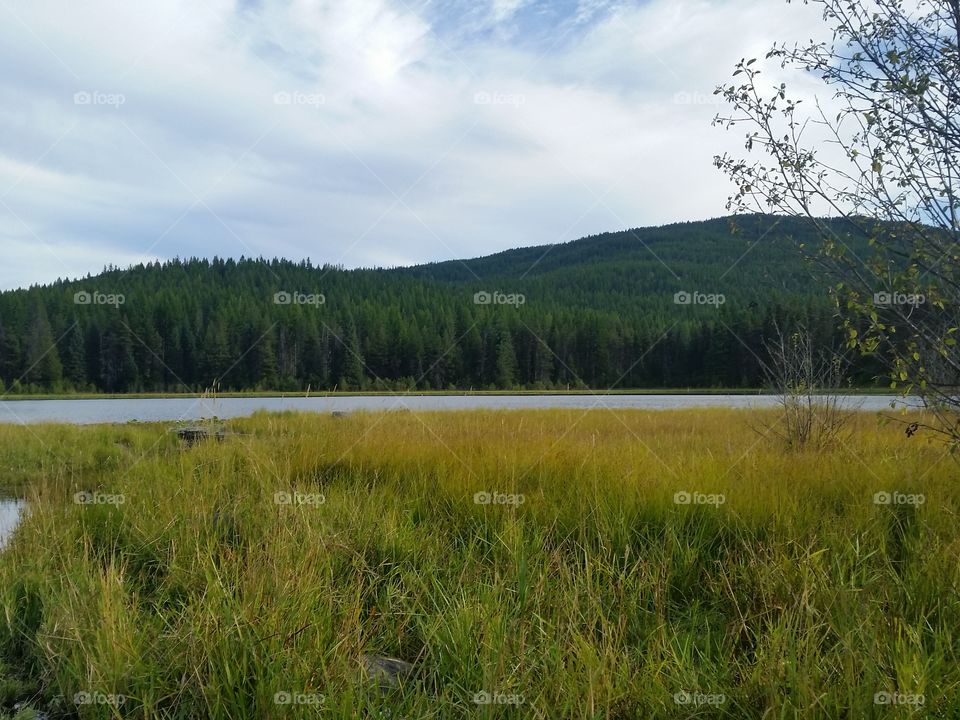 At the Lake, in the Mountains