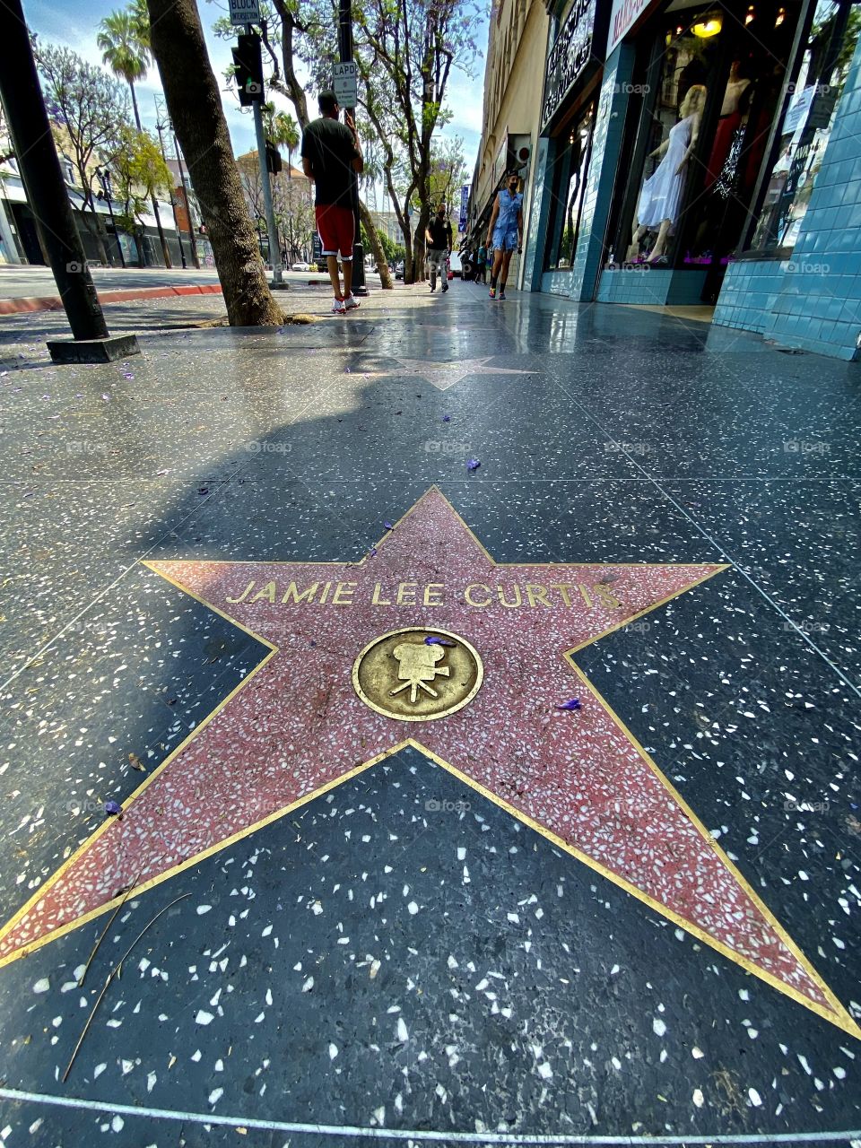 Hollywood Walk of Fame at Hollywood Boulevard in Hollywood/Los Angeles California 