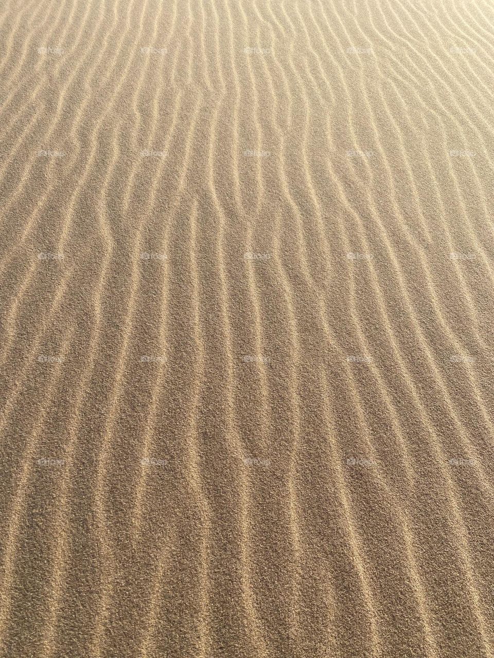 The image shows a close-up view of sand with a pattern of evenly spaced, wavy lines. These lines are likely formed by wind, creating ripples in the sand. 