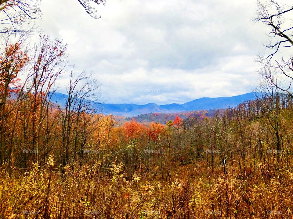 Tennessee smoky mountains fall 