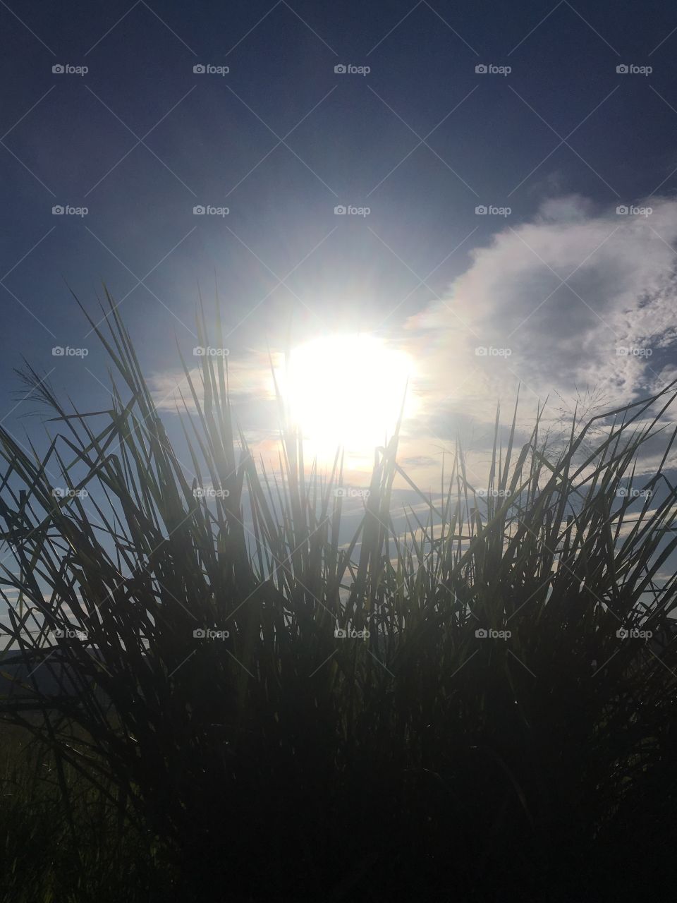 ☀️#Sol muito bonito de #natureza e #beleza indescritíveis.
Obrigado, #MãeTerra. 
🌱
#inspiração #amanhecer #morning #fotografia #paisagem #sun #céu #landscapes