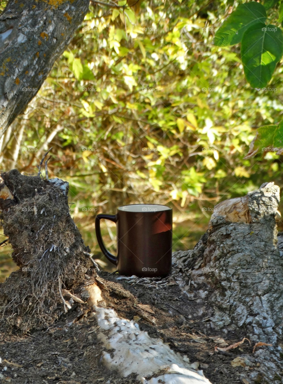 Autumn coffee time in the nature