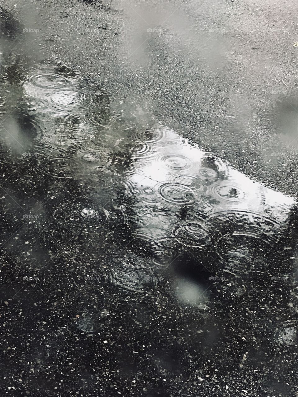 Raindrop ripples in a street puddle