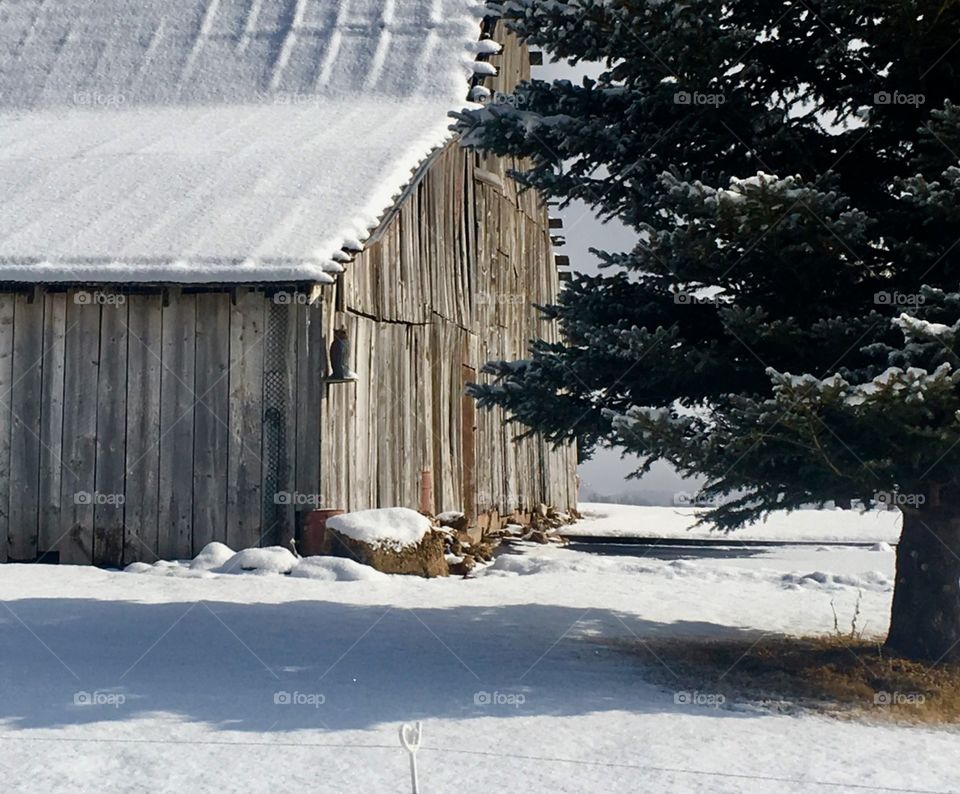 Very cool old barn