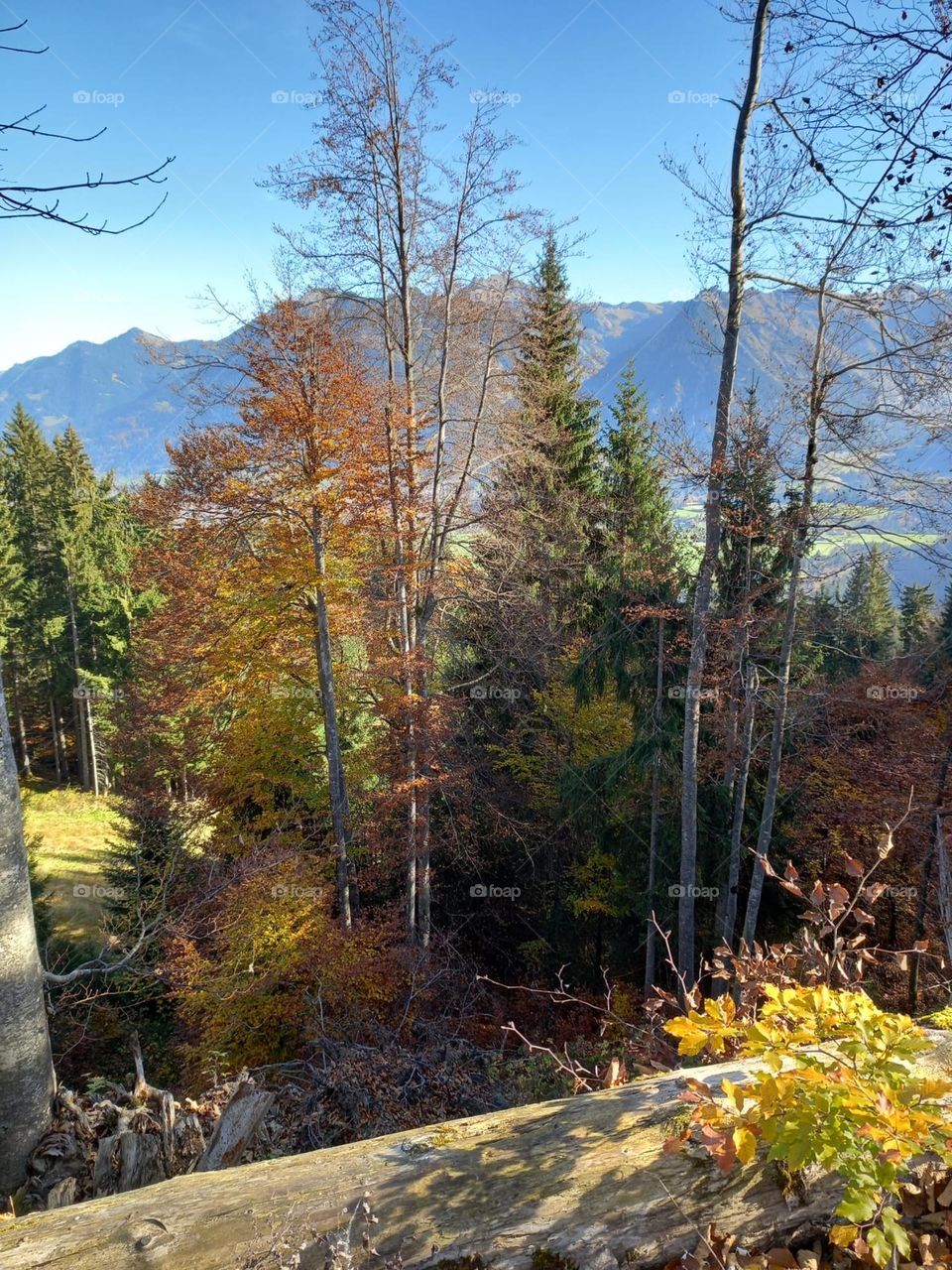 Autumn Day in the Alps
