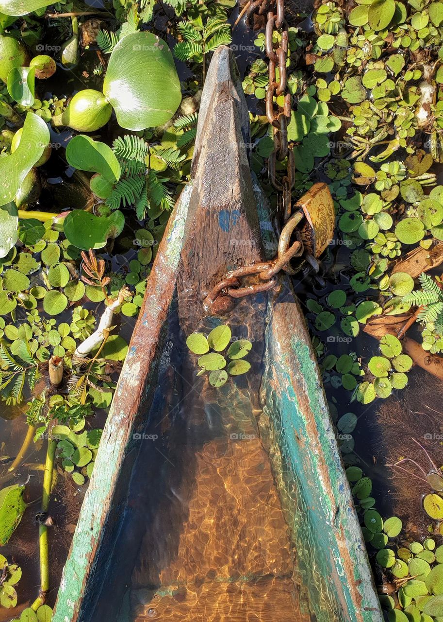 Chalana Pantaneira na beira do rio Paraguai , Pantanal MS