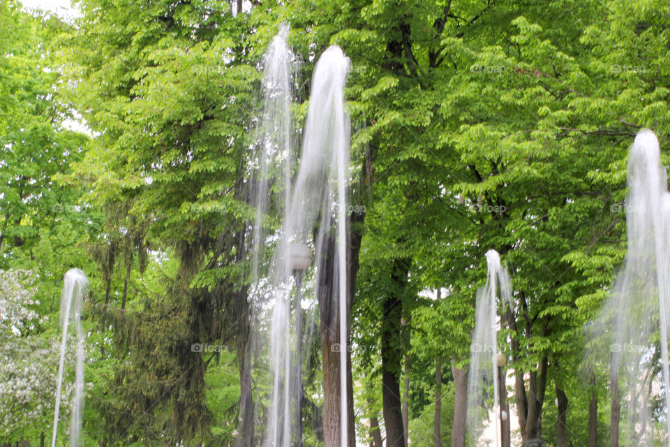 Fountain, water, park, city park, nature, trees, grass, flowers