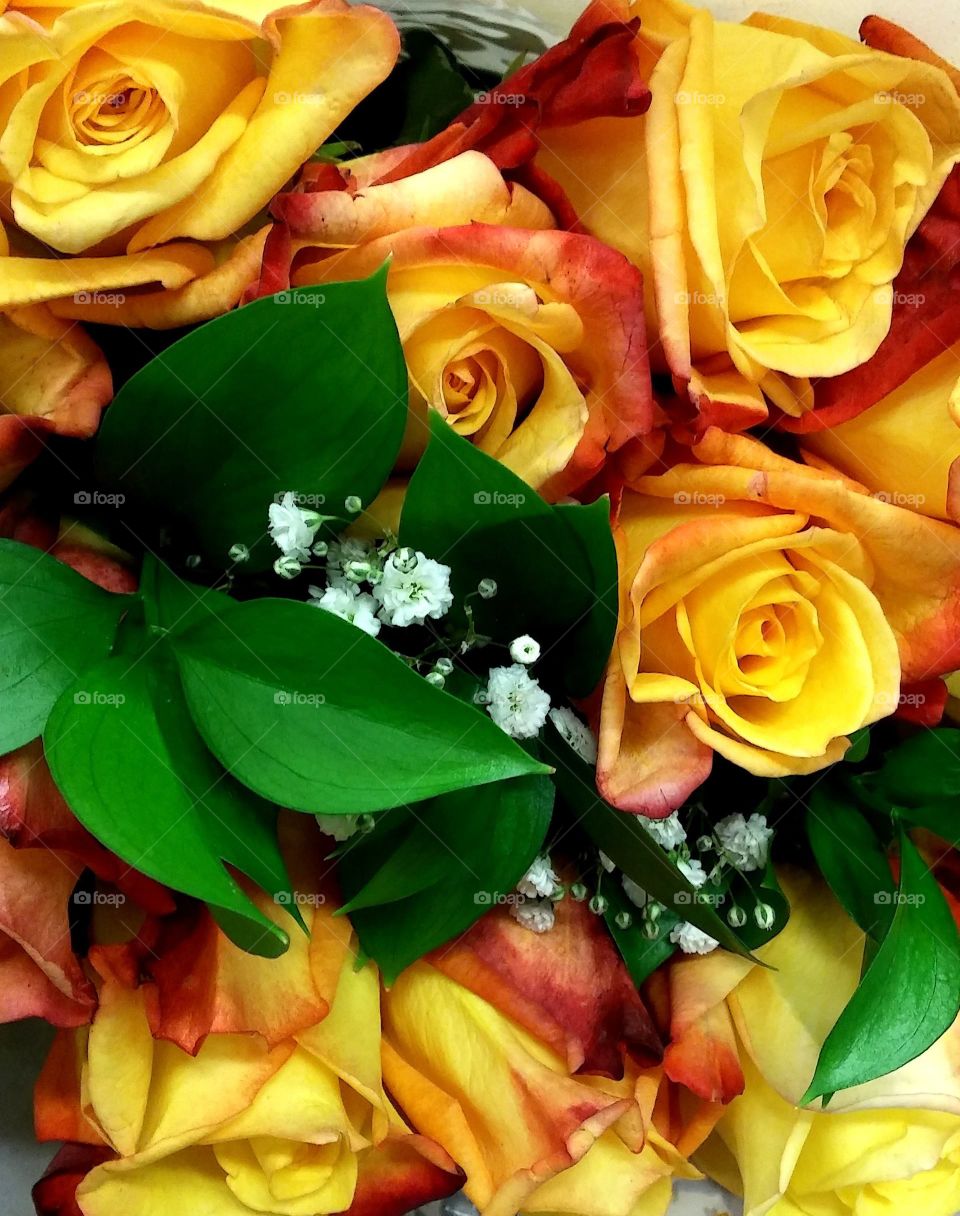 Yellow roses, meaning friendship.