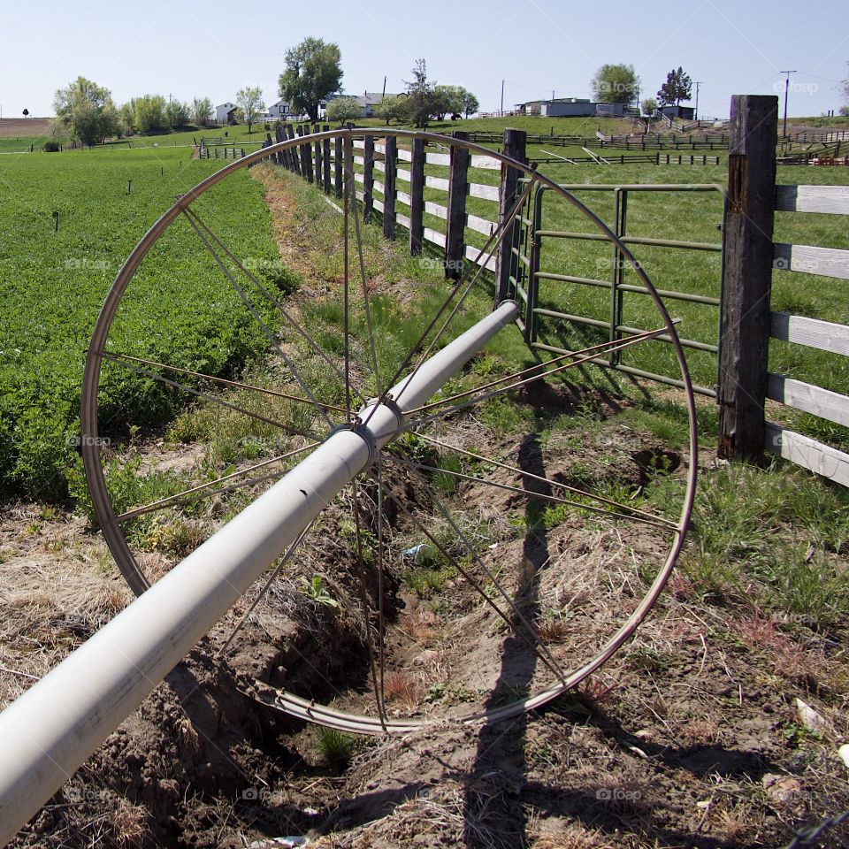 Irrigation wheel lines amongst fresh green spring fields in the farmlands of rural Central Oregon on a sunny morning. 