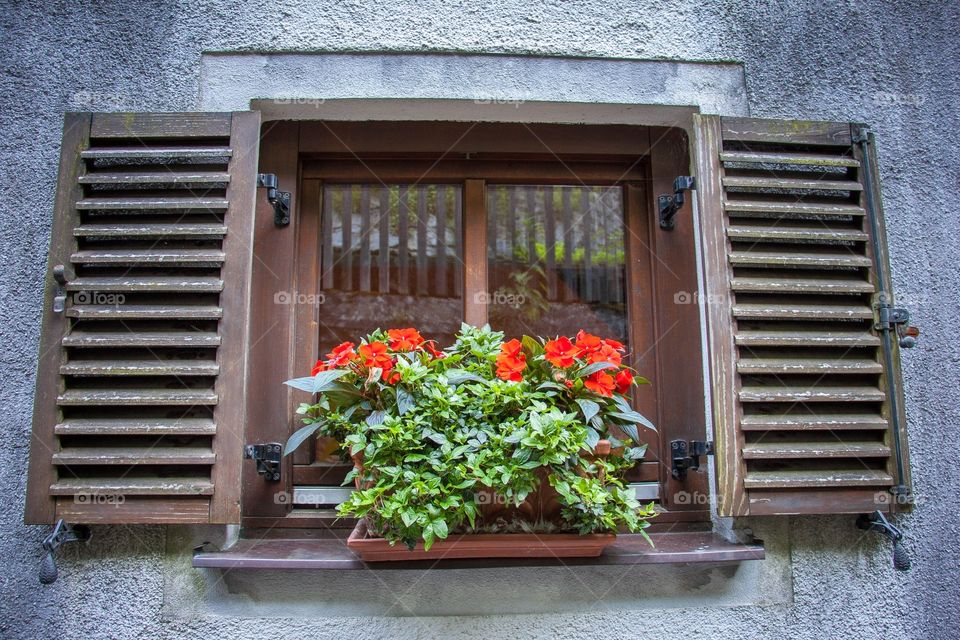 Window Box